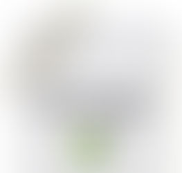 Balanço de atividades: 23/09 a 27/09