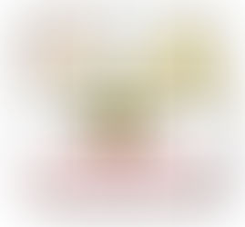 Saiba mais sobre os Conselhos em Brusque