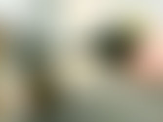 Gastos de deputados brasileiros com combustíveis e lubrificantes