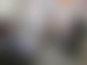 Loteamento Jardim Sesquecentenário vira estudo de caso do OSBr