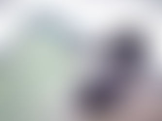 OSBr envia ofício ao Samae solicitando informações sobre o processo licitatório 031/2013