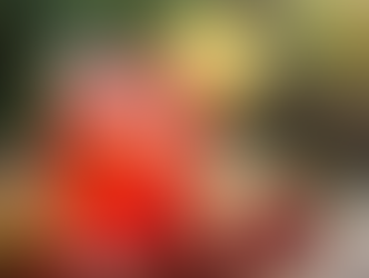 homemade fresh squeezed strawberry hibiscus lemonade