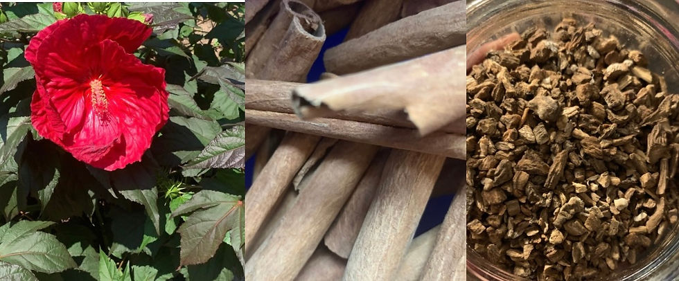 Blood cleansing herbs to detoxify the body; hibiscus, cinnamon, burdock root