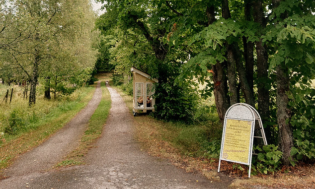 Lehmuksen alla itsepalvelu kukkakioski Ruissalossa