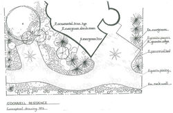 landscape design sketch