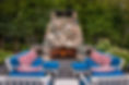 KRP_5798.jpg