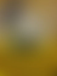 Oils do NOT moisturize your Locs!