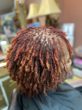 Queens, please do not destroy your Locs!