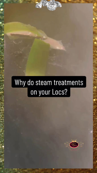 Why do a Steam Treatment on your Locs?