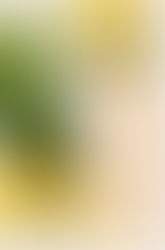 Did you know that Pineapples are great for promoting hair growth and great for stopping hair loss?