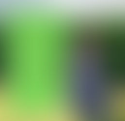 Introducing "Green Wellness Wednesdays"