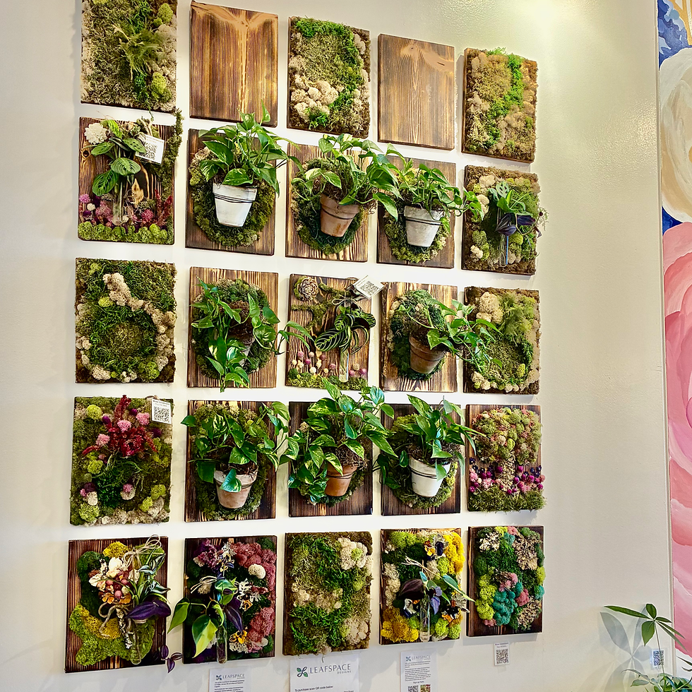 Thumbnail: 12"x9" Plant & Pot Growboard Assorted 