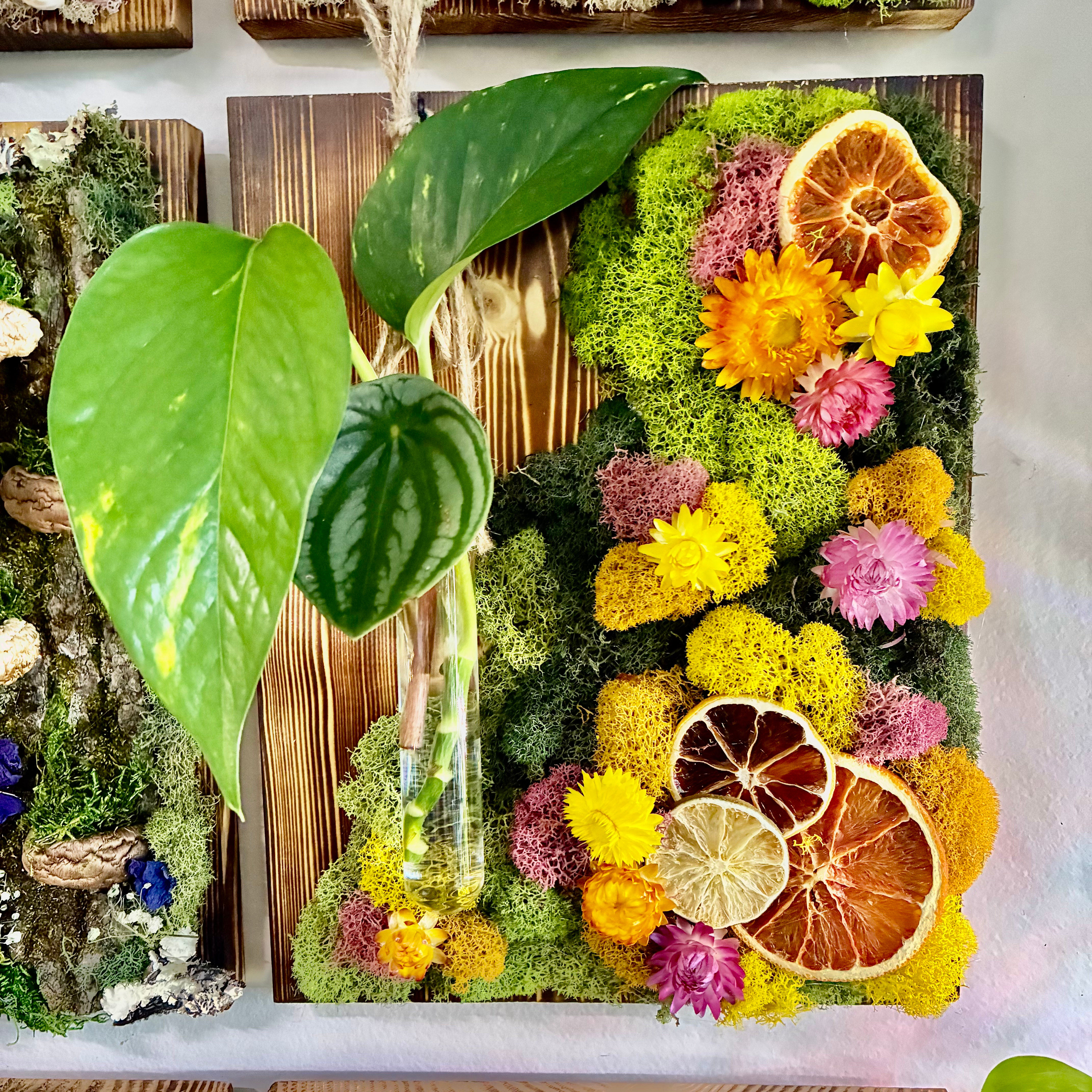 Workshop at Oh Mie Stelle Bakery - Saturday, May 2nd - Spring Citrus