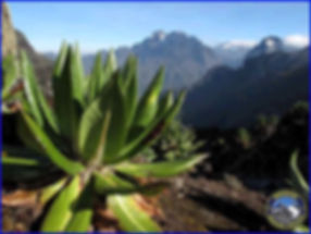 Rwenzori Mountains, mountain climbing africa, uganda mountain climbing, uganda tour