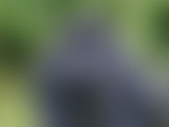 Gorilla Tracking: Rwanda vs Uganda