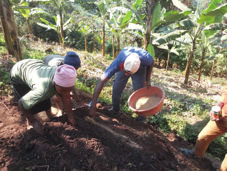 Teach a man how to fish...