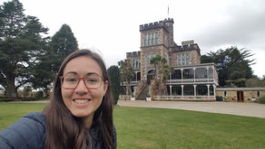 Day 12: Botanic Gardens, Larnach Castle, Otago Peninsula, and Penguins at the Royal Albatross Centre