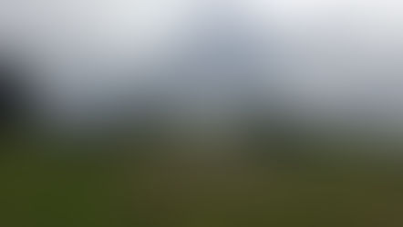 Maungakiekie (One Tree Hill)