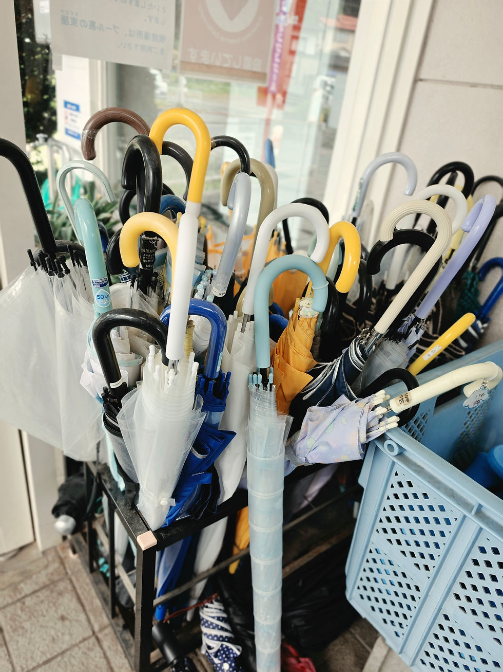 傘の忘れ物処分☂️