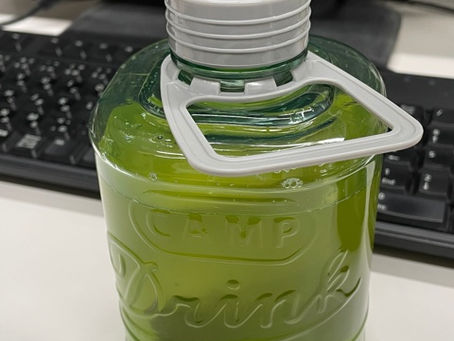 ずぼらやまものNEWアイテム