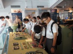 中三級:參觀海事博物館