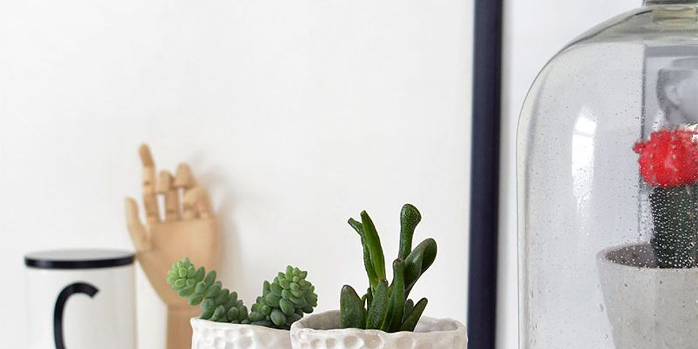 PROCEEDING - MARBURG - Learn to clay class - All Ages - Air Dry Clay Pots!