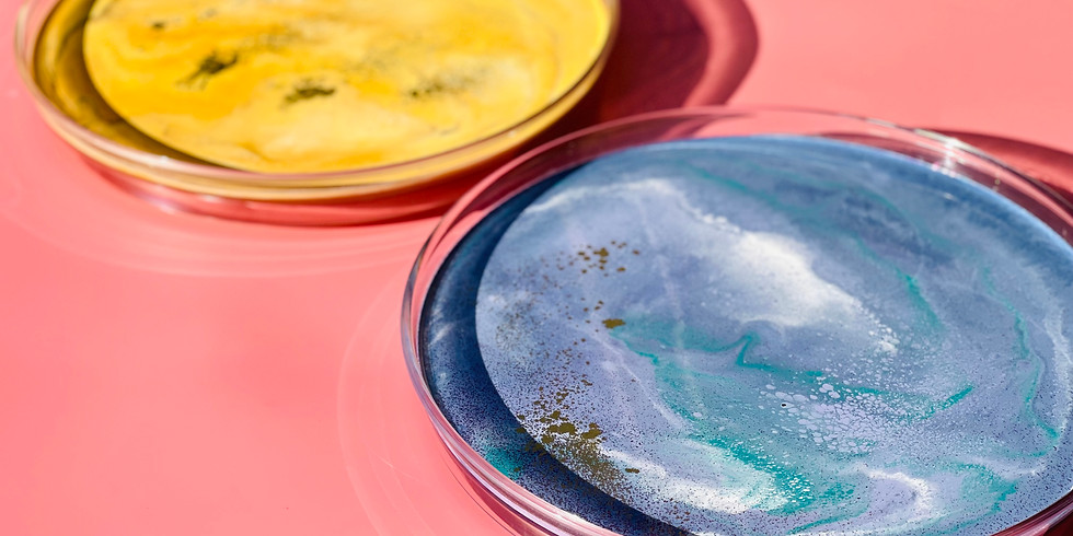 LOGANHOLME - Learn to make a resin, acrylic lazy susan!