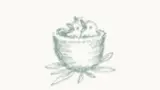new-icon-purity.webp