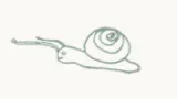 new-icon-usefulk.webp
