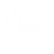 Lift-Off Global Network Film Festival Logo Image