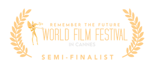 World Film Festival Logo Image