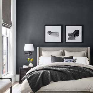 Warna Aksen di Tahun 2024: 6 Pilihan Warna yang Menyempurnakan Ruang Anda