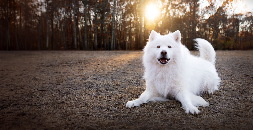 5D4A2109_Casper_website_2.jpg