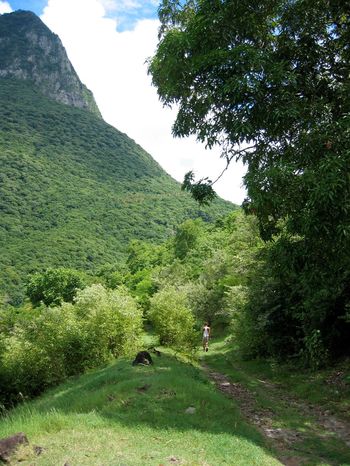 Gems Gros Piton Hikes