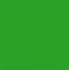 green-color-6-x-8-feet-backdrop-background-for-studio-backdrop-original-imafyz5crfqs34vc_e