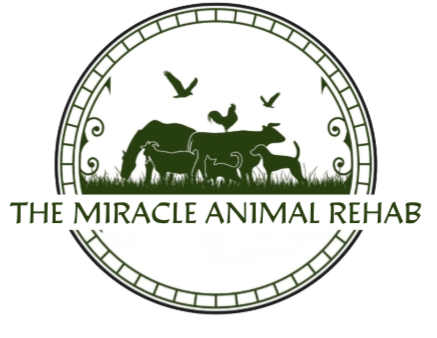 Logo (8).PNG