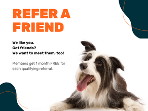 Referral Program