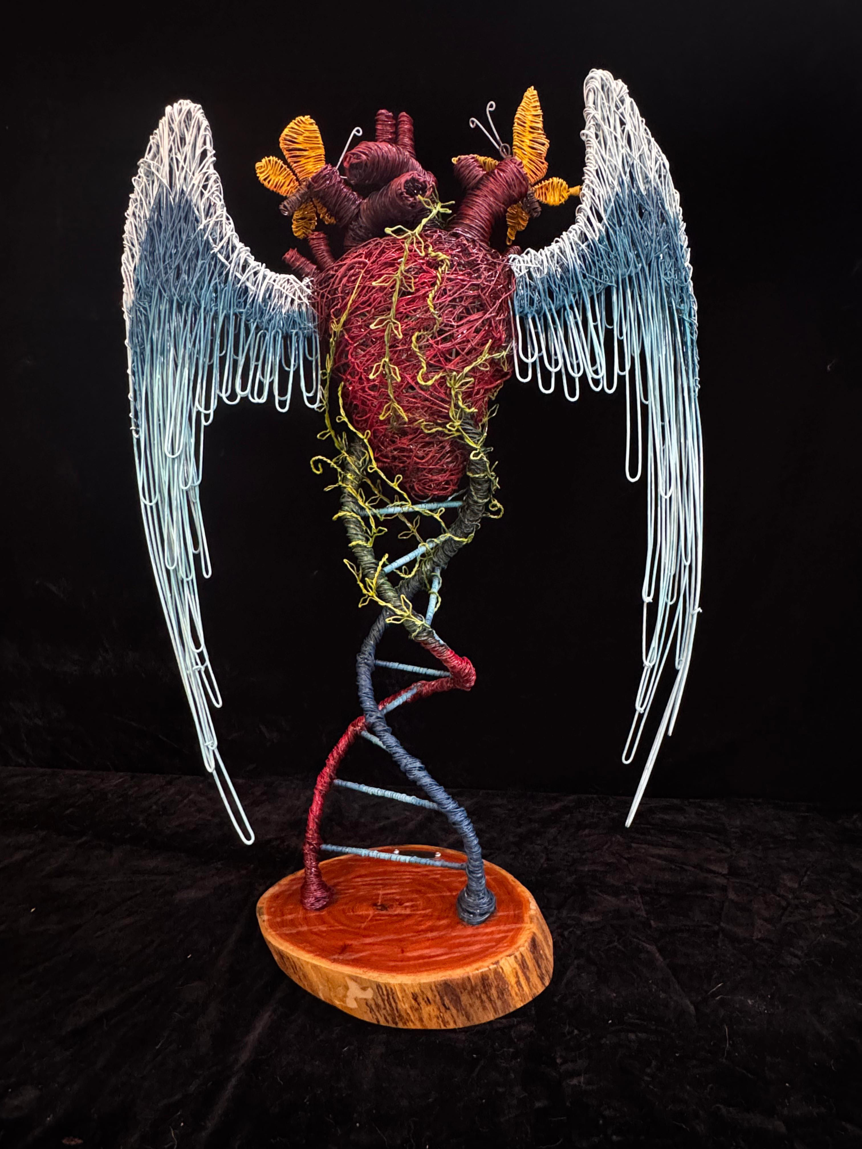 "Corazón” - wire sculptures / O. Rivera