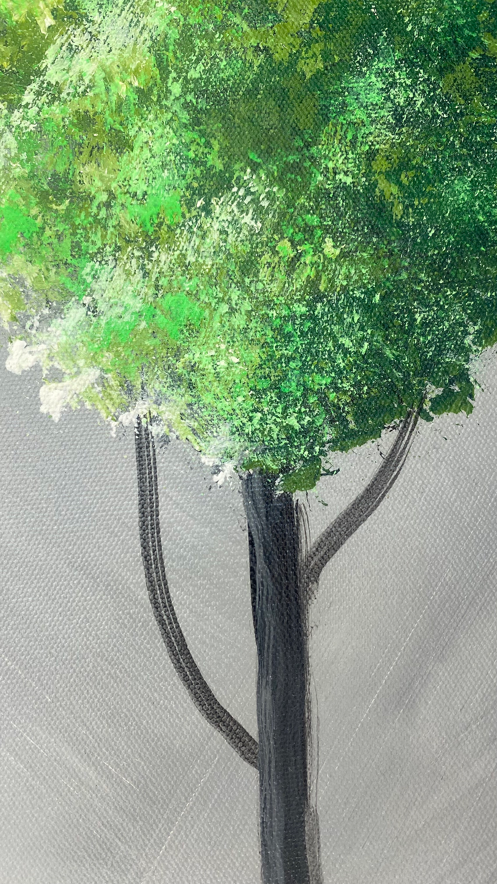 Thumbnail: “Atadecer con arboles ”- D. Granados 