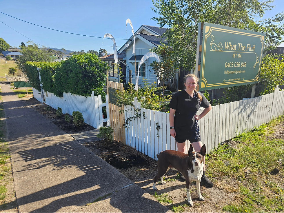 Location, Imlay Street