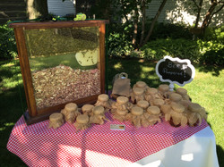 Benevolent Bees and The Accidental Artist