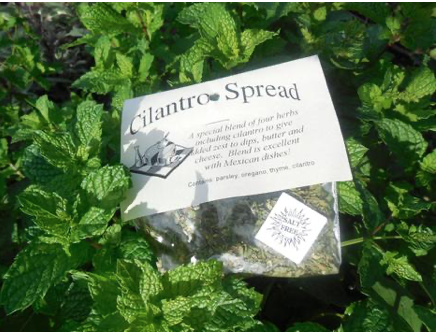 Backyard Patch Herbs