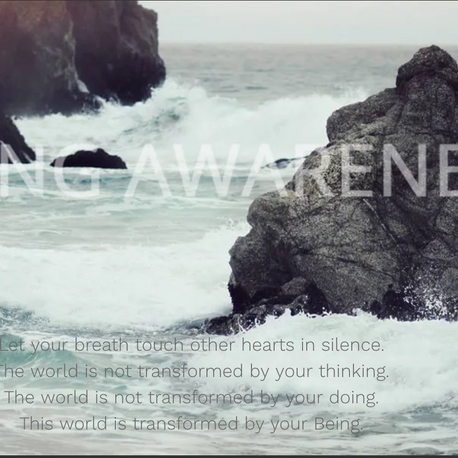 PURA AMRITA NEWSLETTER August  2023  after delight  LIVING AWARENESS is all there is 