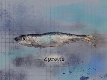 Gestatten, mein Name ist Sprotte.
