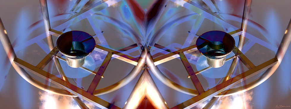 Abstract 110