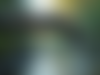 When You Need Urgent Plumbing Solutions