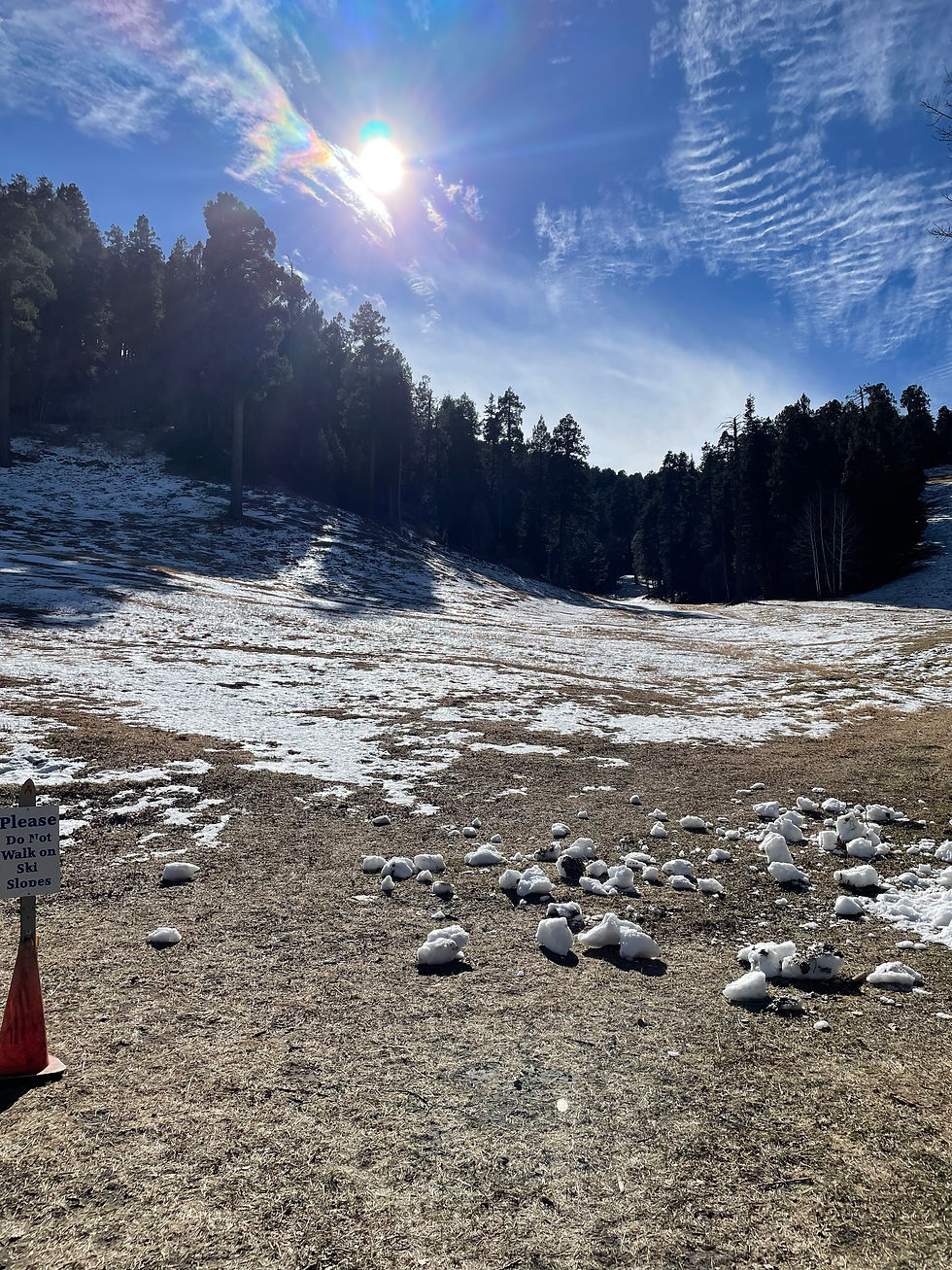 2025 USA Trifecta and Ultrafecta Weekend Recommendations