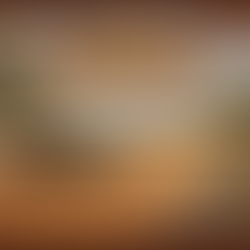 Spartan Houston Texas Trifecta Weekend 3/14/26