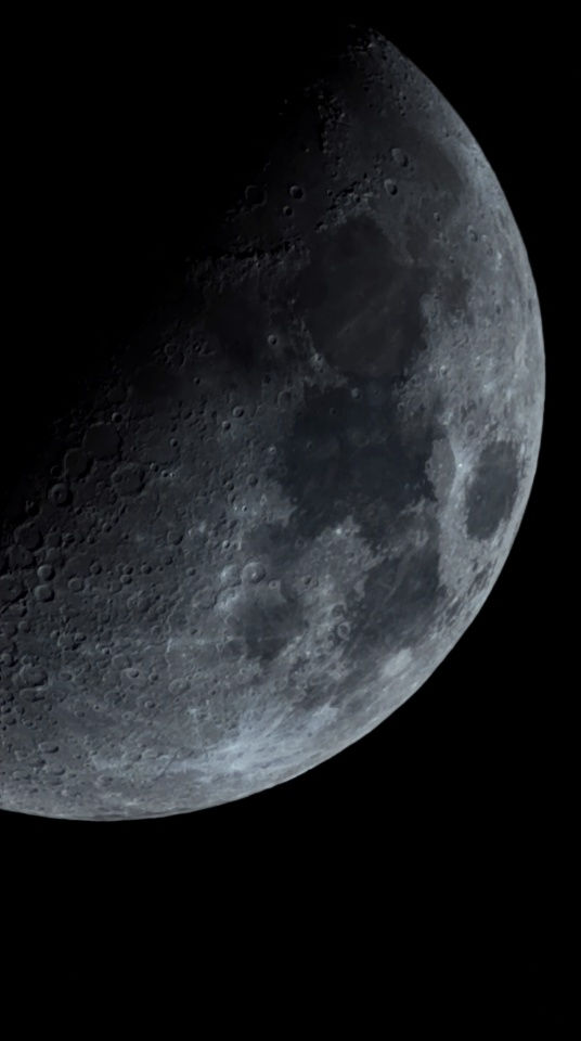 SGO - 005 Waning Gibbons