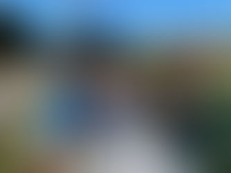 Joy, Happiness & Welcome Whales Whitsunday